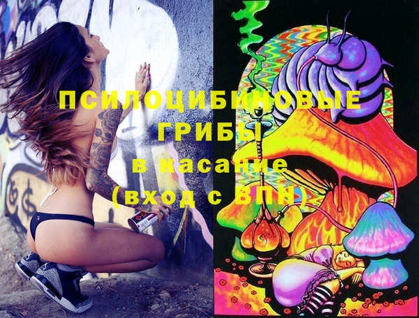 марки lsd Белокуриха