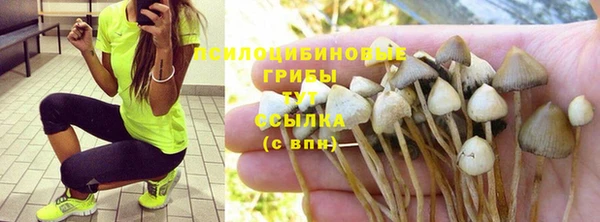 Альфа ПВП Белоозёрский