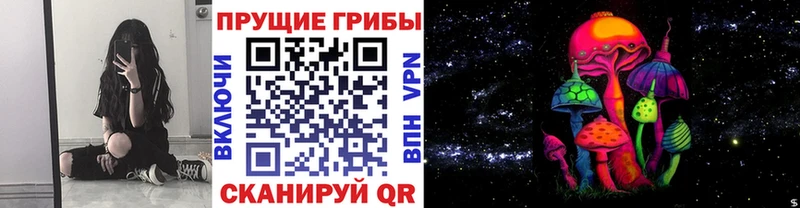 купить  сайты  mega ссылка  Галлюциногенные грибы Magic Shrooms  Бикин 